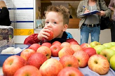 nutrition nutrition